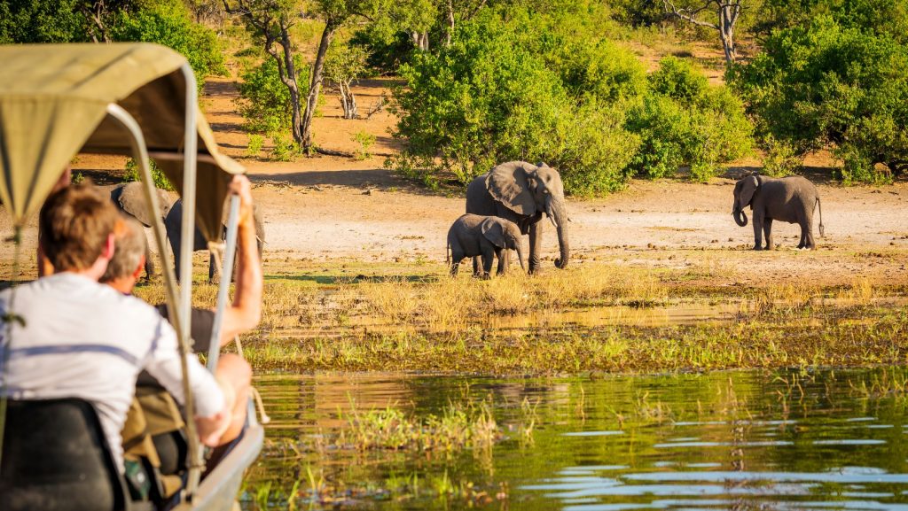 safari en Tanzanie