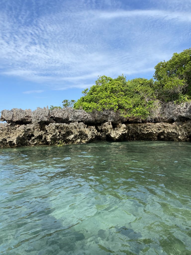 image00001