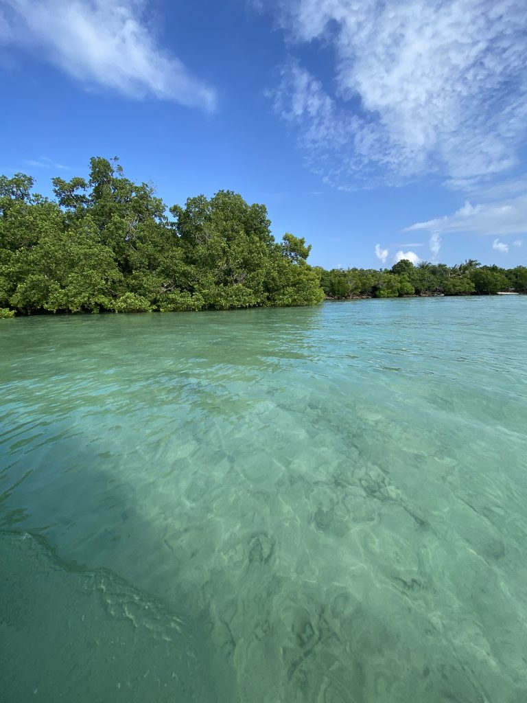 image00002